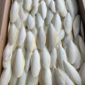 กระดูกปลาหมึกแห้งสำหรับสัตว์เลี้ยงสัตว์เลื้อยคลานปูฤาษี100% กระดูกปลาหมึกดิบสำหรับนกแก้ว/มิสซิสลิมา - Product Image 1