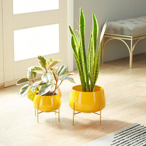 Pots de fleurs en métal jaune moutarde avec supports en fer doré, pots à fleurs ronds modernes, pots décoratifs pour plantes d'intérieur - Product Image 5