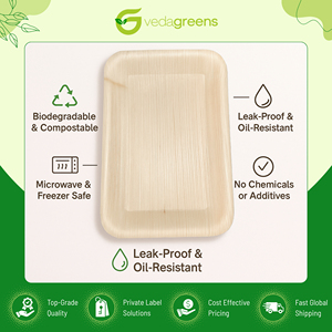 Plato Rectangular Desechable de Palma de Areca de la Mejor Calidad, Ampliamente Disponible, a un Precio de Mercado Excepcional para Pedidos al por Mayor - Product Image 4