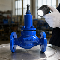Válvula de Protección Contra Sobrepresión de Tuberías, Autoaccionada, Control Hidráulico, Conexión con Brida DN25, OEM, Suministro de Agua Municipal