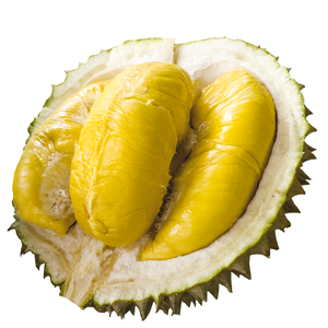 Durian frais de haute qualité du Vietnam _ Fournisseur B2B fiable pour la vente en gros - Product Image 1