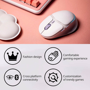 Souris sans fil 2,4 GHz pour droitiers, mini, USB, LED RGB, 6 boutons programmables, design ergonomique, pour jeux - Product Image 5