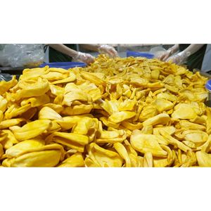 Freeze Dried Jackfruit Healthy <b>Sweet</b> Snack Export <b>Quality</b> Vietnam Supplier - Product Image 2