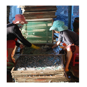 Anchoas Secas Vietnamitas para Importadores, Distribuidores y Fabricantes de Alimentos - Product Image 3