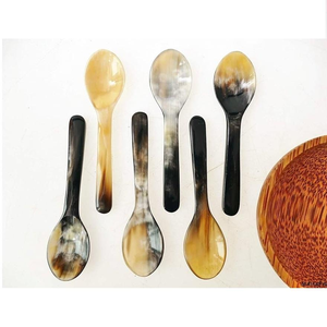 Cuillère à thé miniature en corne naturelle véritable de qualité supérieure, faite à la main, design unique, décorative, en provenance d'Inde, pour la cuisine et les fêtes - Product Image 1