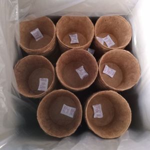 Pots en fibre de coco 2026 très demandés pour le démarrage des semis et le soutien de la croissance des racines – Matériau propre, sûr et écologique - Product Image 2