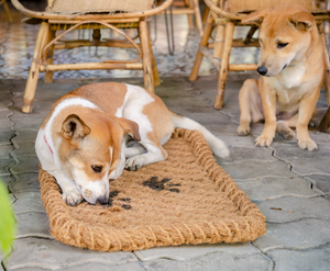 Rascador para Gatos de Fibra de Coco Natural de Vietnam, Alfombrilla Duradera de Fibra de Coco Orgánica, Protector de Muebles, Venta al por Mayor OEM - Product Image 6