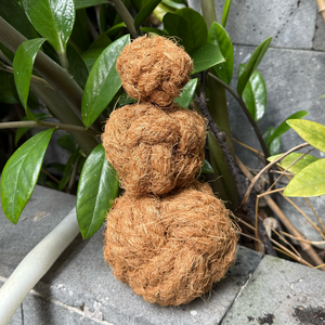 Juguete Ecológico para Perros de Madera de Café, Resistente, Recargable, Flexible, Moderno y Clásico, para Todas las Razas de Perros, en Caja - Product Image 3