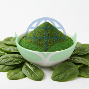 Poudre d'épinards séchée par pulvérisation 100 % pure, biologique, sans OGM, extrait de feuilles, excellente solubilité dans l'eau pour les nutraceutiques santé en gros - Product Image 1