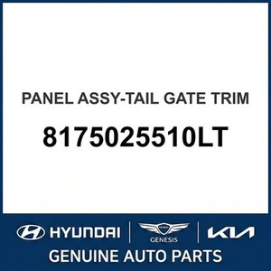 Accent New Liftgates 8175025510LT - Product Image 1