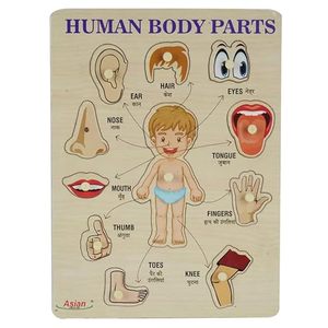 Portable Wooden Human Body Parts <b>Puzzle</b> for Kids Pack of 1 (Multicolor) - Product Image 1