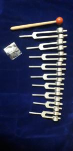 Juego de Diagnóstico con Diapasón Médico de Aluminio Plateado, Martillo de Goma, para Neurología, Otorrinolaringología y Examen Clínico, MAYALAB, Exportación Mundial - Product Image 4