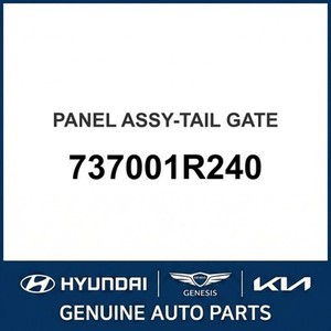 Accent New Liftgates 737001R240 - Product Image 1