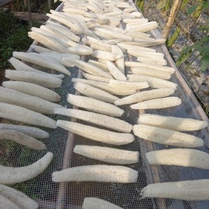Loofah entier séché en fibres naturelles du Vietnam pour la création d'objets artisanaux et l'ajout d'une texture rustique, couleur par 99 Gold Data - Product Image 1