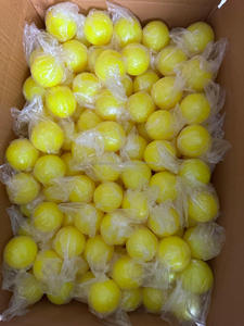 Venta al por mayor logotipo personalizado impreso viento Cricket Ball directo de fabricación de fábrica - Product Image 6