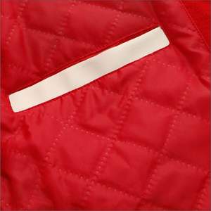 Blouson universitaire vintage OEM pour homme 2026 en polyester avec logo brodé personnalisé, motif uni, vêtements d'hiver à la mode - Product Image 5