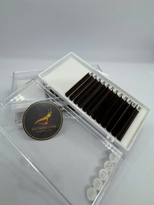 Premade <b>Volume</b> Fans Eyelash Extensions 3D 4D 5D 6D 12D 20D Synthetic C D Curl Short Long <b>Lash</b> Trays Custom Private Label - Product Image 6