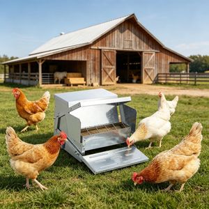 Mangiatoia Automatica Portatile per Polli in Acciaio Inox e Materiale PP, Nuova e Usata - Product Image 1