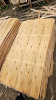 Vietnam Eucalyptus Rotary Cut Veneer Sheets 1270x640mm Natural Wood Grain for Core Plywood Construction Panels-Durable