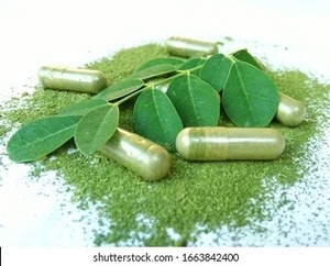 Poudre de feuilles de Moringa naturelle, extrait à base de plantes en capsules, 120 unités, extrait par solvant, qualité alimentaire, en flacon pour la nutrition quotidienne - Product Image 3