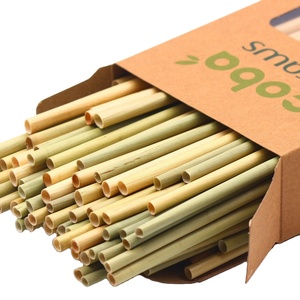 Nouveaux produits Pailles d'herbe de protection de l'environnement/Pailles d'herbe jetables écologiques fabriquées par Eco2go Vietnam - Product Image 1