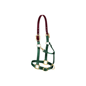 Harnais pour cheval en nylon vert avec couronne en cuir bordeaux et ferrures dorées - Product Image 1