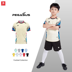 เสื้อฟุตบอลสั่งทำพิเศษ แห้งเร็ว ระบายอากาศได้ดี สำหรับผู้ชาย ผู้หญิง เด็ก ชุดทีม OEM ODM หลายสี ลายเพกาซัส - Product Image 2