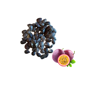 Vietnam Manufacturer Supply International Standard Natural Dried Passion Fruit <b>Seeds</b> <b>Packed</b> in 25kg Bag - Product Image 1
