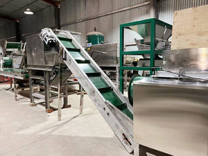 Chaîne entièrement complète Ligne de produits de clous de girofle d'ail à entraînement automatique Ligne de produits de machines à peler Usine de transformation - Product Image 6