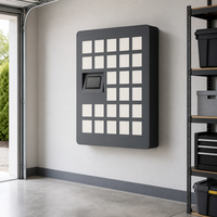 Casier à bagages intelligent assemblé en extérieur avec paiement par carte de crédit pour hôtels, motels, appartements, aéroports – Stockage de bagages en libre-service et écologique