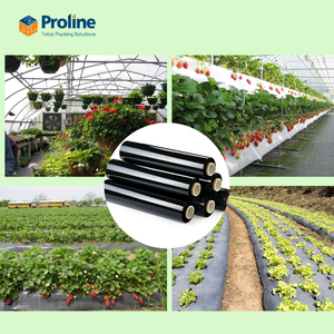 Rollo de película de mantillo de PE personalizado de 0,01-0,20mm de espesor para agricultura para protección contra la humedad OEM ODM proveedor de Vietnam - Product Image 2