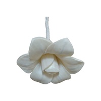 Diffuseur de parfum en roseau de bois Sola fait main, de haute qualité, naturel, exclusif pour usages multiples, Fête des Pères
