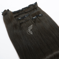 Extensions à clipser en cheveux naturels de haute qualité, cheveux vierges à cuticules alignées, cheveux européens, teinture Fumi, double trame machine
