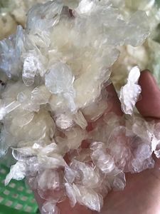 Produit d'exportation phare : Écailles de poisson en vrac, matière première marine en gros 2026 - Product Image 4