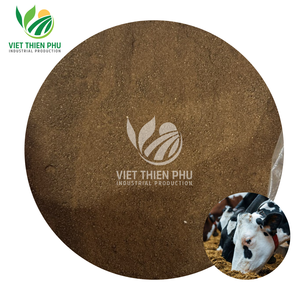 VIET THIEN PHU |   Poudre de Molasses de Canne à Sucre Séchée Premium – Exportation Vietnam - Product Image 1