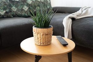 Juego Ecológico de 3 Macetas de Jacinto de Agua con Revestimiento Impermeable, Estilo Rústico, Más Vendidas para Hogar, Jardín, Interior y Exterior - Product Image 3