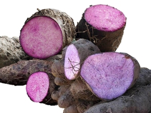 Yam Orgánico Congelado IQF VIETDELTA, el Más Vendido, Grado Premium, Blanco y Morado, en Rodajas y Puré, Suministro a Granel para la Industria Alimentaria, 10 kg - Product Image 3