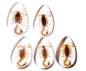 Golden Scorpion Real Specimen Plastic Cabochon Pear Cut <b>Top</b> 46x30 mm Clear Flat Bottom for Crafts and Jewelry Making - Product Image 4
