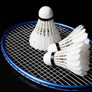 Venta al por Mayor de Volantes de Bádminton, Suministro a Granel, Calidad Premium, Pluma Duradera, Oferta Especial, Producto Más Vendido/ Sra. Alina - Product Image 6