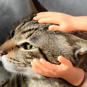 Mini Mani Artificiali, Guanto Massaggiante per Gatti, Guanto in Silicone per Dita, Giocattolo Interattivo per Gatti e Animali Domestici - Product Image 5