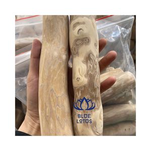 Produit phare : Jouet à mâcher pour chien en bois de café, favorise le nettoyage dentaire et soulage l'ennui de la mastication, bois végétal sûr et propre pour chiens 2026 - Product Image 1