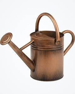 Linea Exports Inc. – Arrosoir en métal galvanisé au design antique, dernière nouveauté, idéal pour la décoration intérieure et extérieure, maison et jardin - Product Image 4