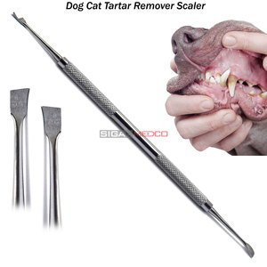 Professional <b>Small</b> Animal Pet Grooming <b>Tools</b> 5pcs Set Dogs and Cats Ear Hair Remover Tartar Remover Precision Scissors for Safe - Product Image 3