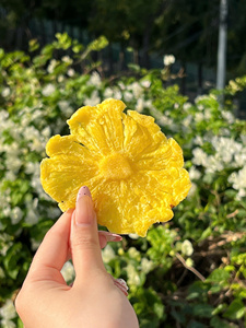 Ananas jaune naturel, fruits secs moelleux, collations saines et végétaliennes, fabricant et fournisseur, sans colorants artificiels - Product Image 3