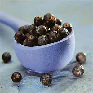 Premium Quality Natural Dried Juniper Berries Bulk Wholesale 2026 New Season Organic Supply For Private <b>Label</b> Brands - Product Image 2