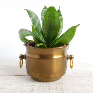 Maceta de metal dorada de lujo para decoración de oficinas y vestíbulos de hoteles con acabado premium y base estable. - Product Image 1