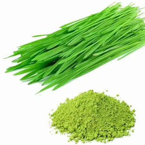Poudre d'herbe de blé premium pour soutenir l'énergie et la vitalité, 100% pure et naturelle, superaliment vert pour smoothies et jus - Product Image 6
