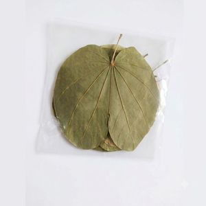Hojas de Orquídea Asiática Naturales Premium AQUA VRIKSHA para Acuarios, Peceras de Betta y Camarones | 11-15 cm | Paquete de 15 - Product Image 2