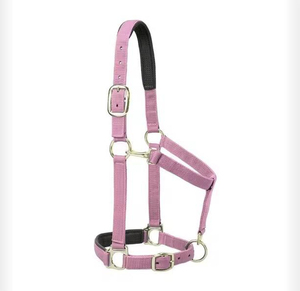 Harnais rose en nylon pour cheval avec rembourrage noir et boucles métalliques pour l'équitation et l'entraînement - Product Image 1