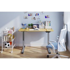 Scrivania Elettrica Regolabile in Altezza 48 x 24 Pollici, Postazione di Lavoro per Casa e Ufficio, Telaio Grigio, Scrivania Sit-Stand - Product Image 1